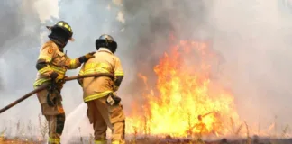 Jaime Leyton analiza el fenómeno de las lenguas de fuego en incendios forestales.