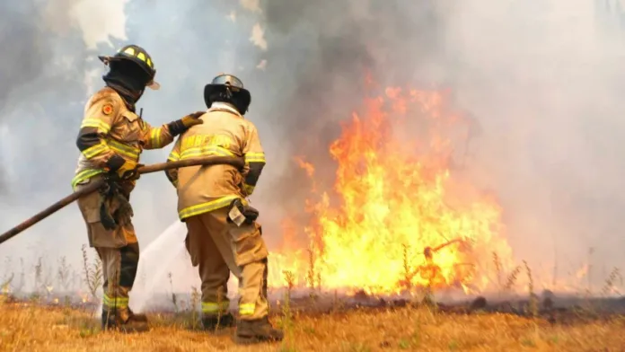 Jaime Leyton analiza el fenómeno de las lenguas de fuego en incendios forestales.