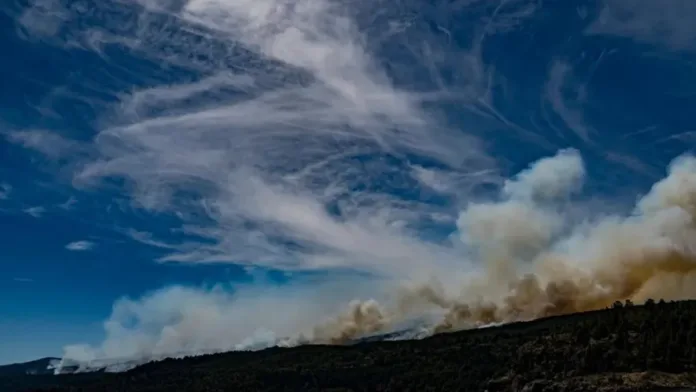 Incendios en Patagonia: más de 35 mil hectáreas devastadas en Argentina.