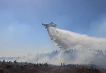 Toque de queda en seis comunas por incendios forestales en curso.