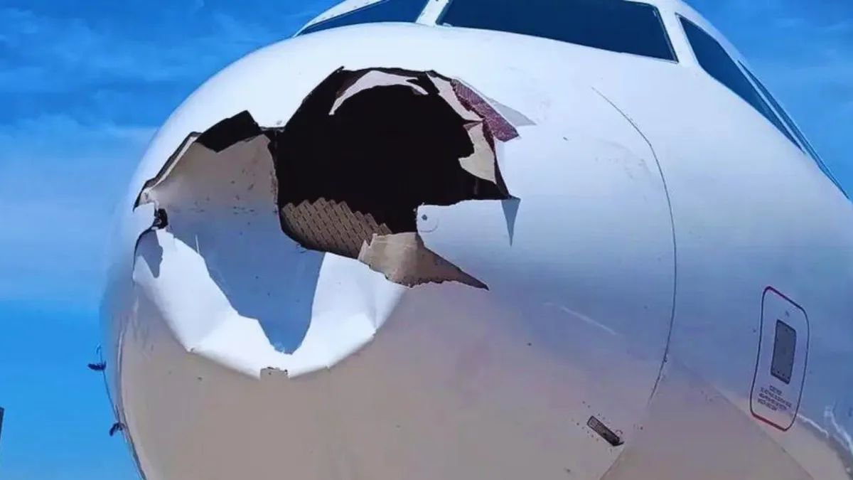 Incidente aéreo en Brasil: avión de Latam colisiona con ave y aterriza de emergencia sin heridos