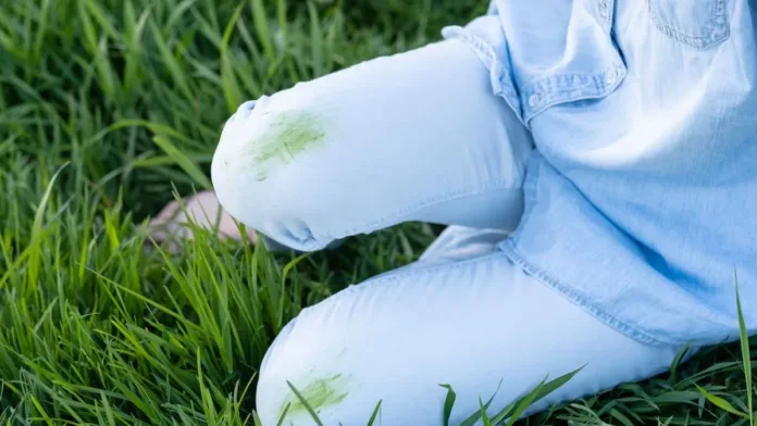 Descubre cómo eliminar manchas de pasto con solo dos ingredientes sencillos.