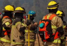 Bomberos en la mira: acusaciones de provocar incendios en Melipilla.