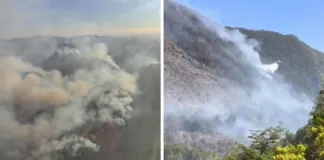 Gobernador de Ñuble solicita Alerta Roja por incendio en Reserva de la Biósfera.