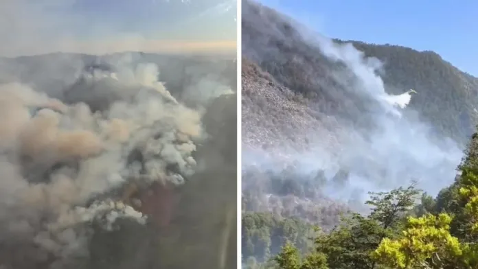 Gobernador de Ñuble solicita Alerta Roja por incendio en Reserva de la Biósfera.