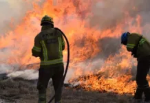 Obispos de Patagonia alertan sobre incendios y critican el desprecio por la vida.