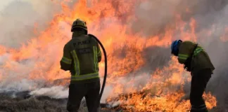 Obispos de Patagonia alertan sobre incendios y critican el desprecio por la vida.