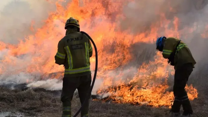 Obispos de Patagonia alertan sobre incendios y critican el desprecio por la vida.