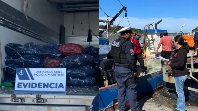 Embarcación con 2.200 kg de mariscos contaminados por marea roja en Los Lagos.