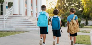 Nuevo colegio en Puerto Varas: cinco edificios para más de 1.400 estudiantes.