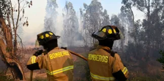 Alerta Roja en Purén por incendio forestal; evacuación urgente ante la emergencia.