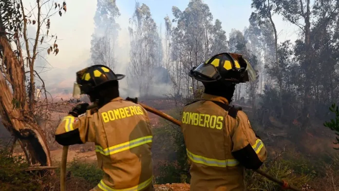 Alerta Roja en Purén por incendio forestal; evacuación urgente ante la emergencia.