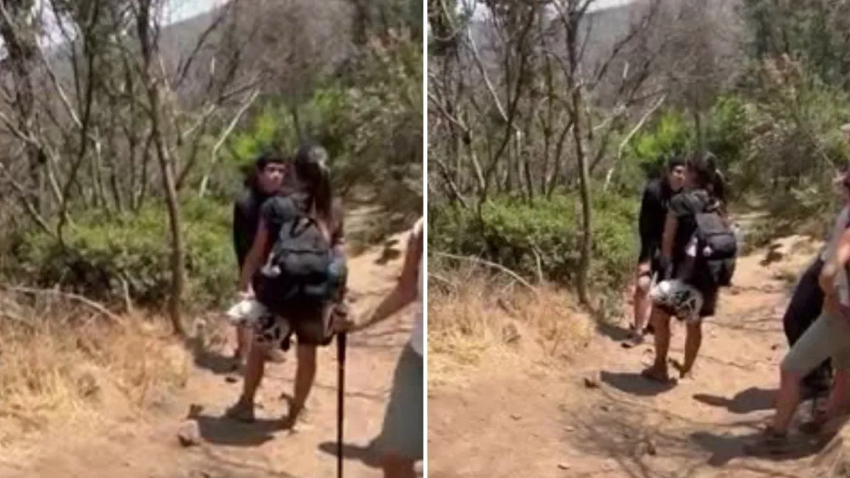 Mujer confronta a joven por intento de incendio en parque Quebrada de Macul, alcalde anuncia querella