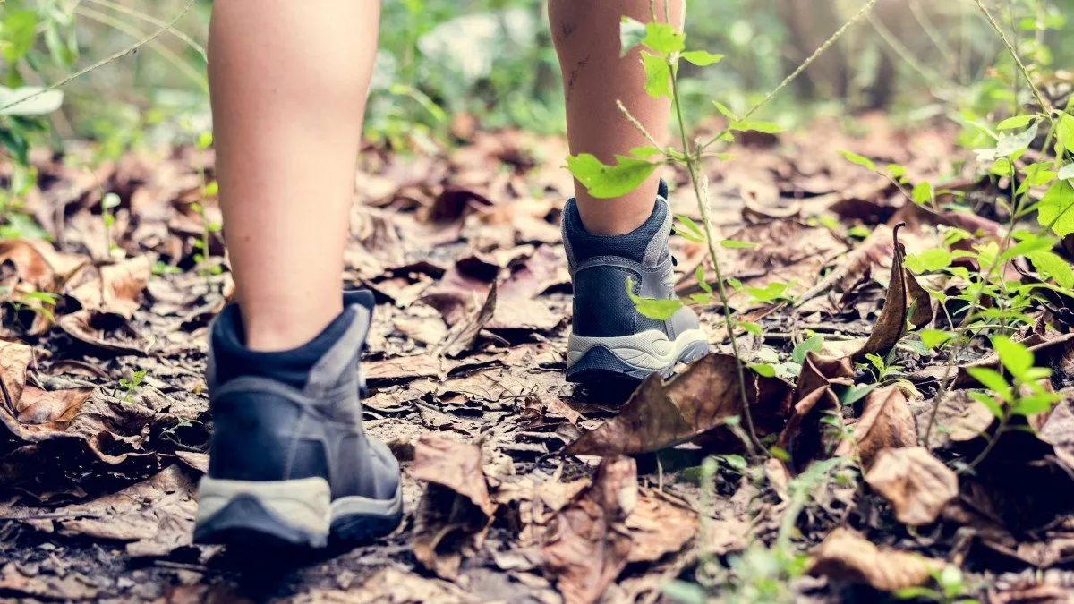 Niño de 9 años con discapacidad es hallado tras tres días de búsqueda en San Antonio