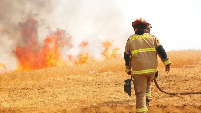 Alerta Roja en San Ignacio: incendio forestal amenaza áreas pobladas.