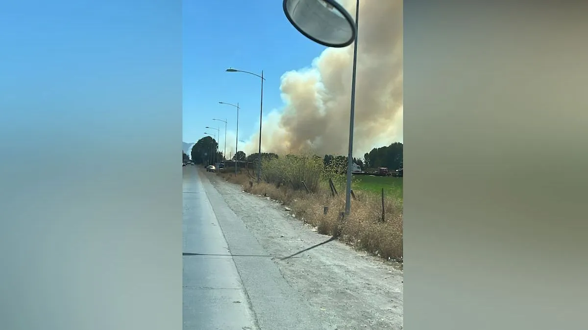 Incendio forestal afecta viñedos en La Pintana y San Bernardo; autoridades declaran Alerta Roja