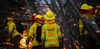 Incendio forestal en Santo Domingo: arraigo nacional y firma mensual para afectados.