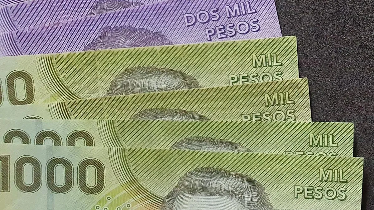 Desempleados pueden acceder a beneficios económicos, pero deben cumplir requisitos específicos para ser elegibles