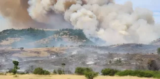 Alerta Roja en Paredones: incendios forestales amenazan viviendas cercanas.