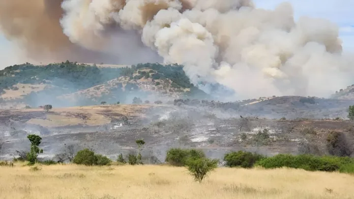 Alerta Roja en Paredones: incendios forestales amenazan viviendas cercanas.