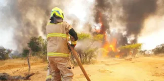 Incendios en el centro sur: Senapred declara Alerta Roja y ordena evacuaciones.