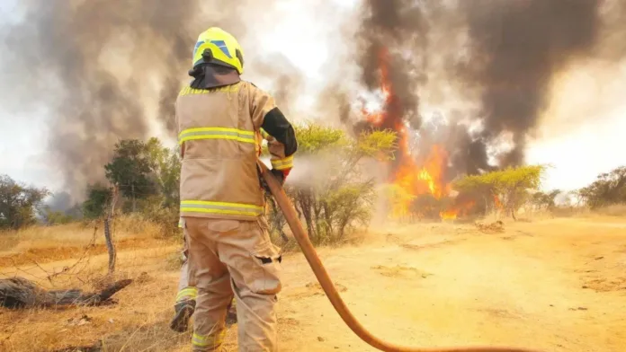 Incendios en el centro sur: Senapred declara Alerta Roja y ordena evacuaciones.