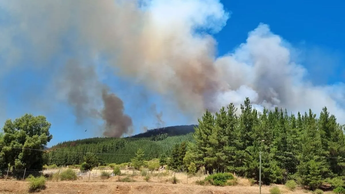 Alerta roja en 5 comunas ante el aumento de incendios por altas temperaturas y sequía