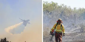 Senapred informa sobre 15 focos activos de incendios forestales en el país.