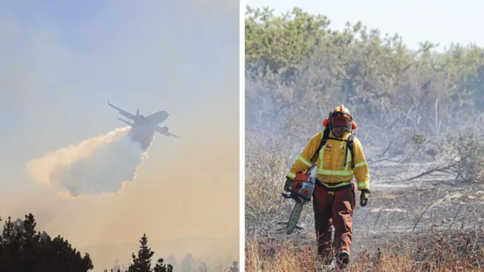 Senapred informa sobre 15 focos activos de incendios forestales en el país.