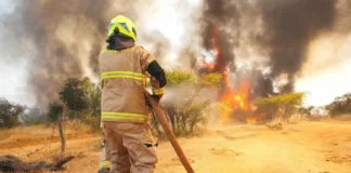 Incendios forestales: Evacuaciones en La Araucanía