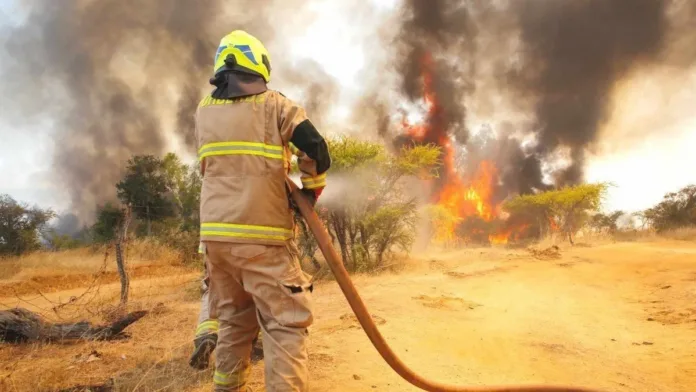 Incendios forestales: Evacuaciones en La Araucanía