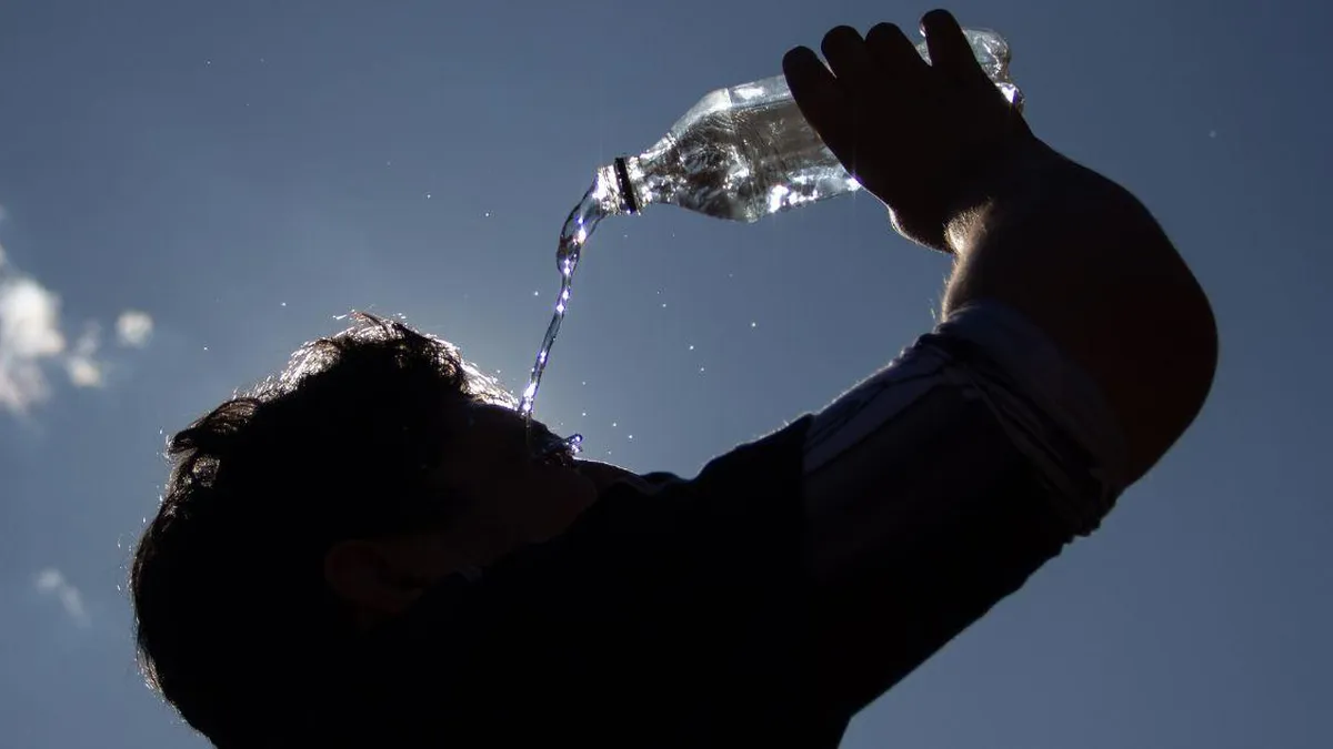 Conaf Valparaíso solicita "faena cero" por altas temperaturas extremas.