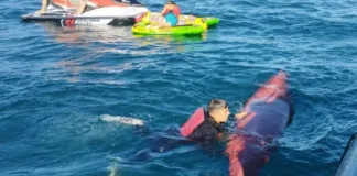 Continúa la búsqueda de la joven desaparecida en el Lago Villarrica.