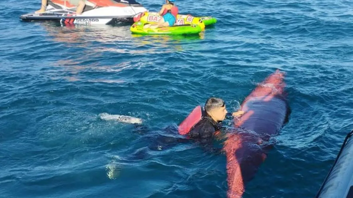 Reanudan búsqueda de joven desaparecida en Lago Villarrica tras caída de kayak, se intensifican esfuerzos de rescate