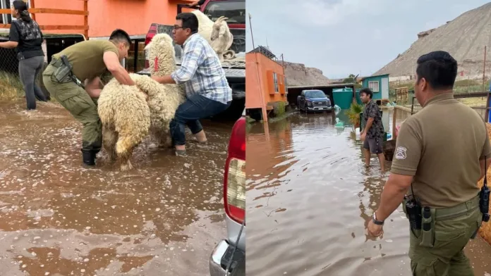 Evacuación en Calama tras la crecida del río Loa