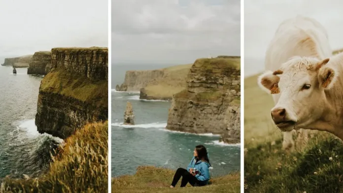 Una chilena comparte su experiencia de vida y trabajo en Irlanda.