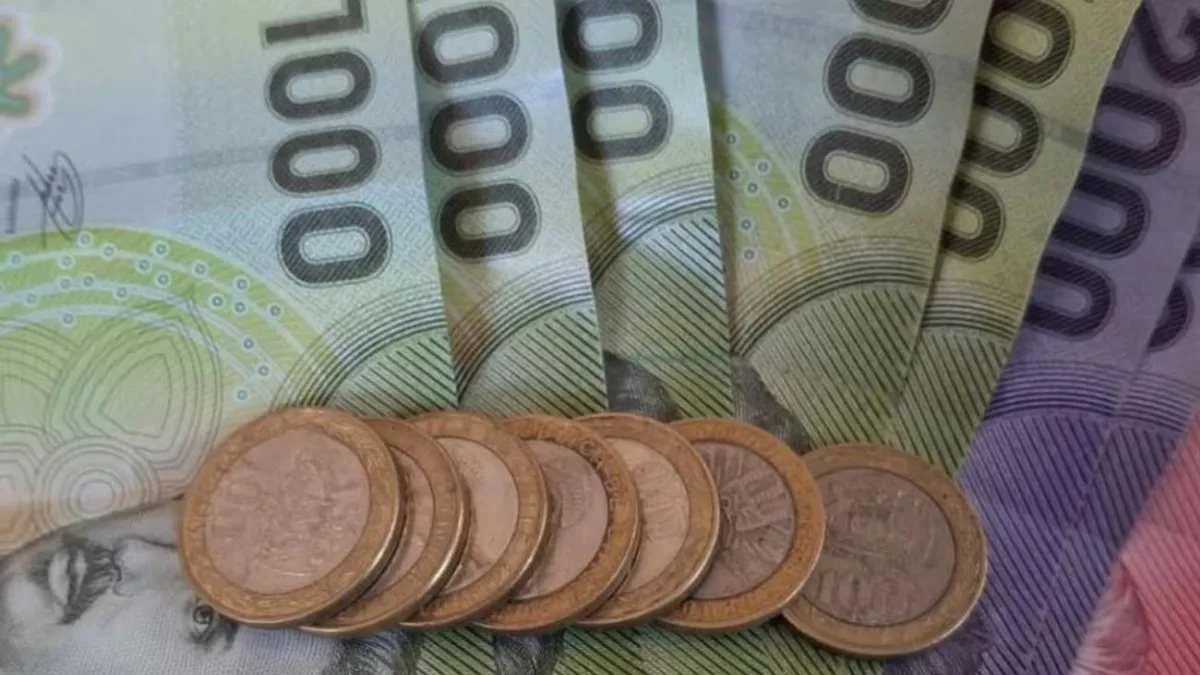 Explora los bonos y becas que apoyan la educación en Chile para estudiantes.