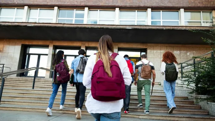 Descubre cómo las cajas de compensación pueden reducir tus costos educativos.