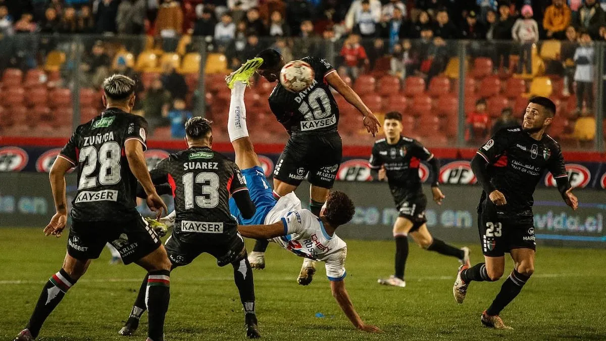 Universidad Católica y Palestino se preparan para un duelo decisivo en la Copa Sudamericana
