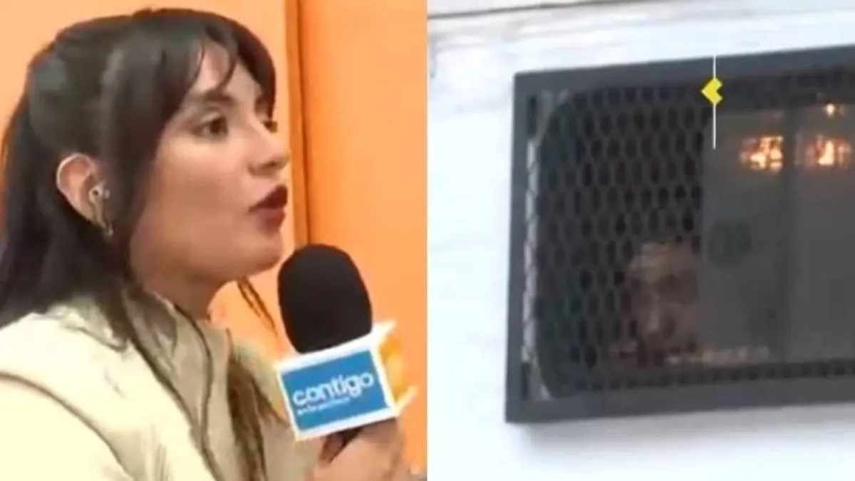 Allanamiento en Maipú interrumpe despacho de periodista con inesperados piropos de detenidos