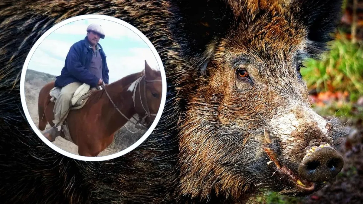 Muerte por ataque de jabalí en Mendoza: alerta por especie invasora en Chile.