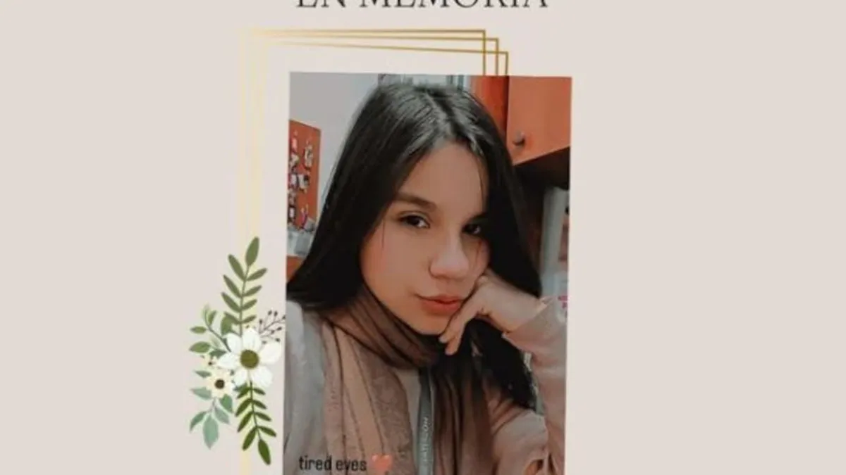 Mujer de 48 años confiesa asesinato de su nuera en Osorno, se desconocen las causas del crimen