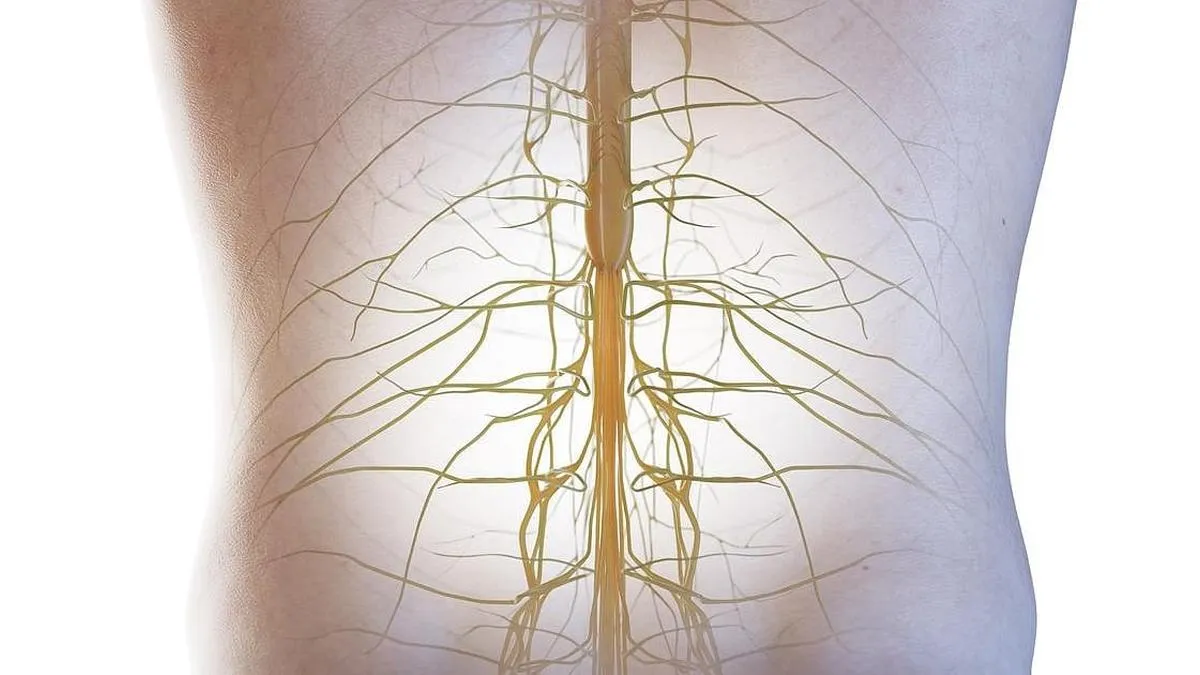 Innovador implante y exoesqueleto robótico prometen restaurar movimiento en personas con lesiones medulares