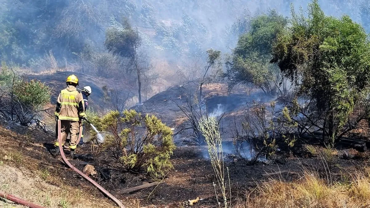 Incendios forestales arrasan más de 9.000 hectáreas en el centro-sur de Chile, dejando evacuaciones y clases suspendidas