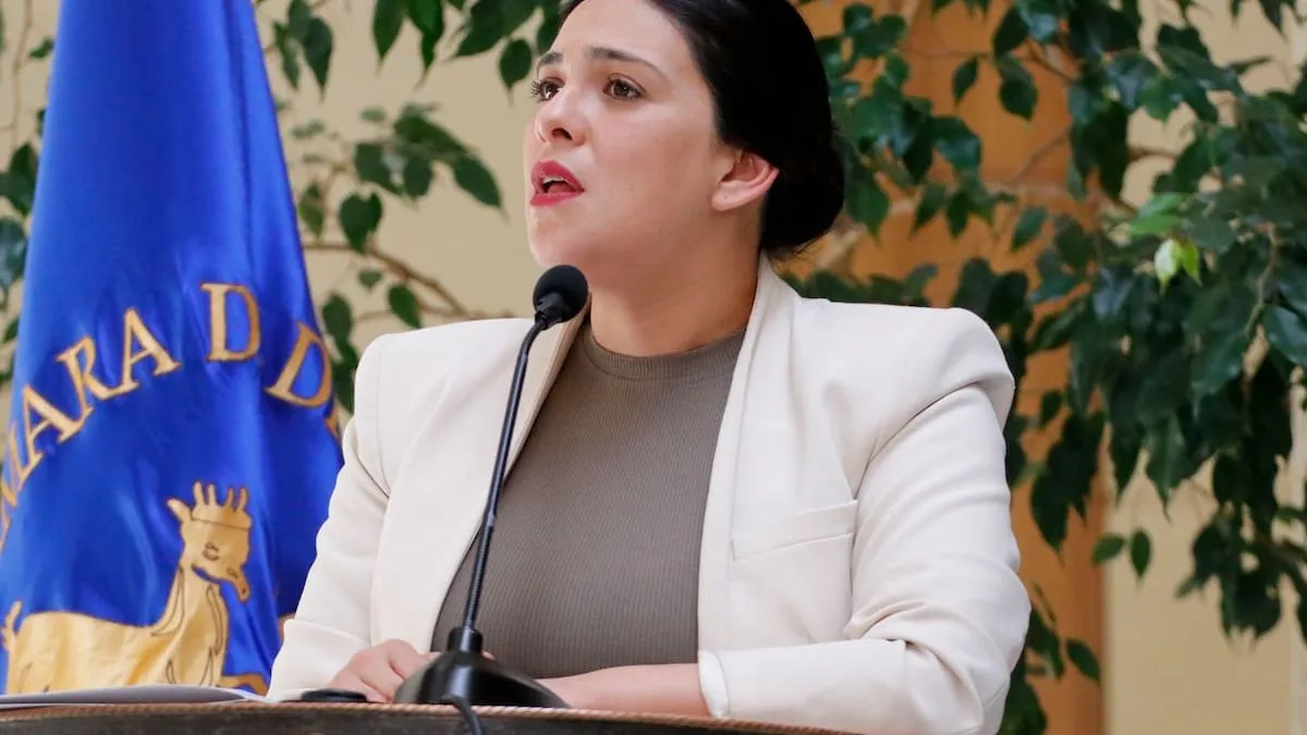 Karol Cariola celebra el nacimiento de su hijo mientras su hogar es allanado por investigación judicial