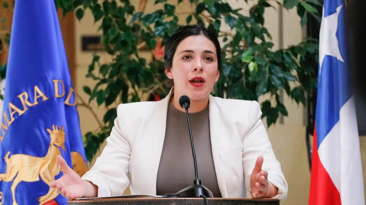 Gobierno critica el allanamiento a Karol Cariola durante su parto: "Esperamos explicaciones".