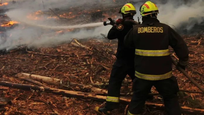 Tragedia en Coronel: dos víctimas fatales tras incendio en una vivienda.