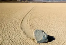 Descubre el enigma de las piedras que se desplazan solas en el desierto.