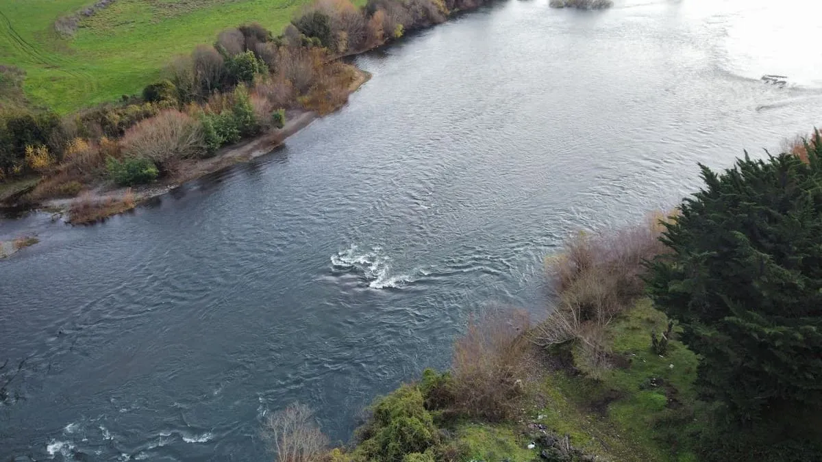 Tragedia en Osorno: niño de 6 años fallece tras caer al río Rahue en misteriosas circunstancias