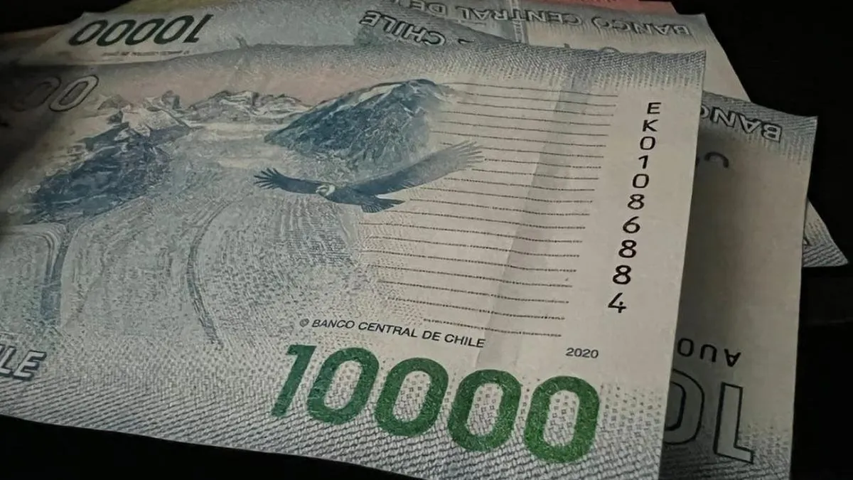 Consulta tu RUT para saber si accedes a la Pensión Básica Solidaria de Invalidez del IPS